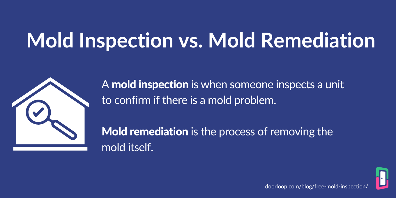 How to get a free mold inspection
