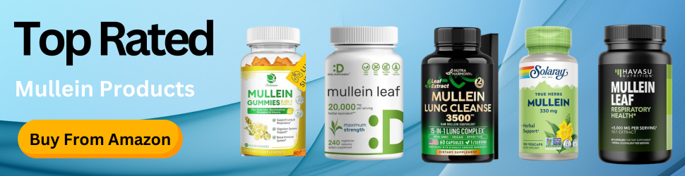 How long does mullein take to work