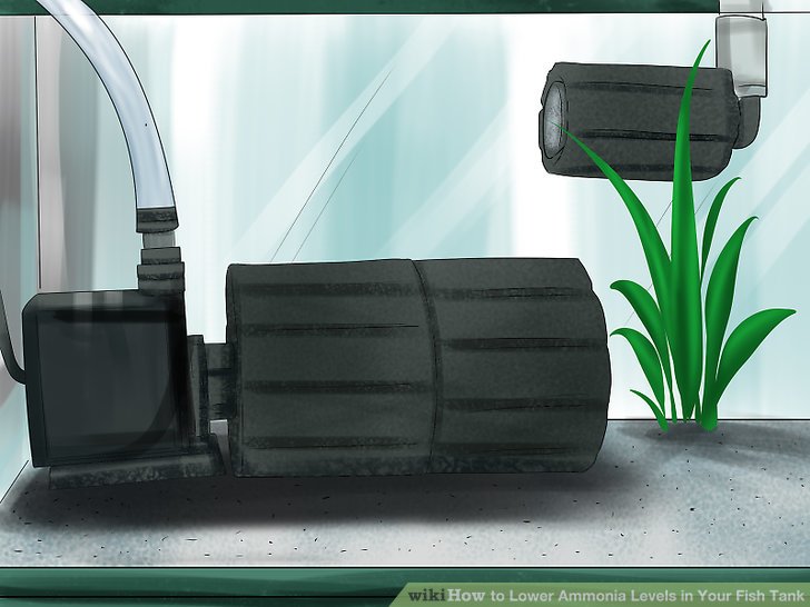 How to lower ammonia in fish tank