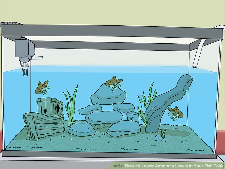 How to lower ammonia in fish tank