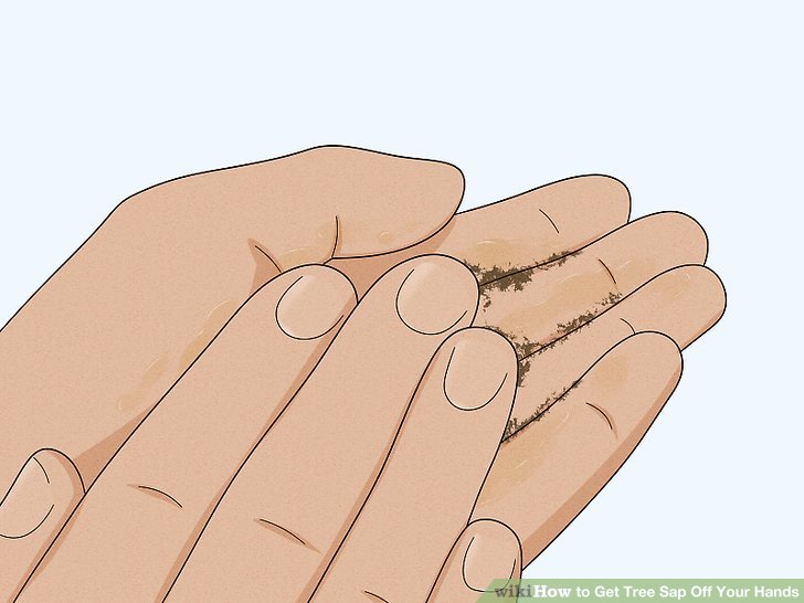 How to get tree sap off skin