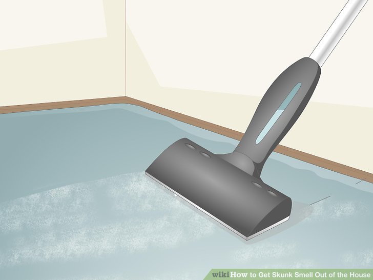 How to get skunk smell out of house