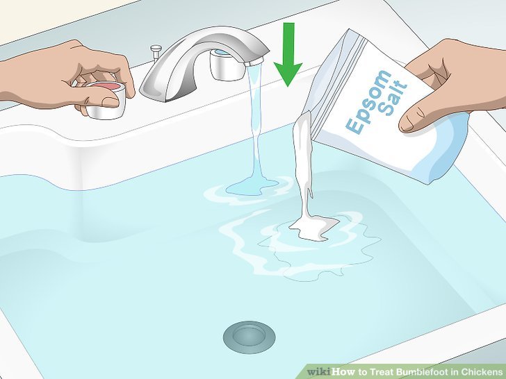 How to treat bumblefoot in chickens