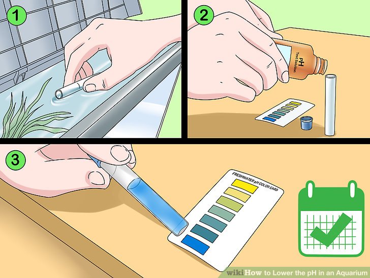 How to lower ph