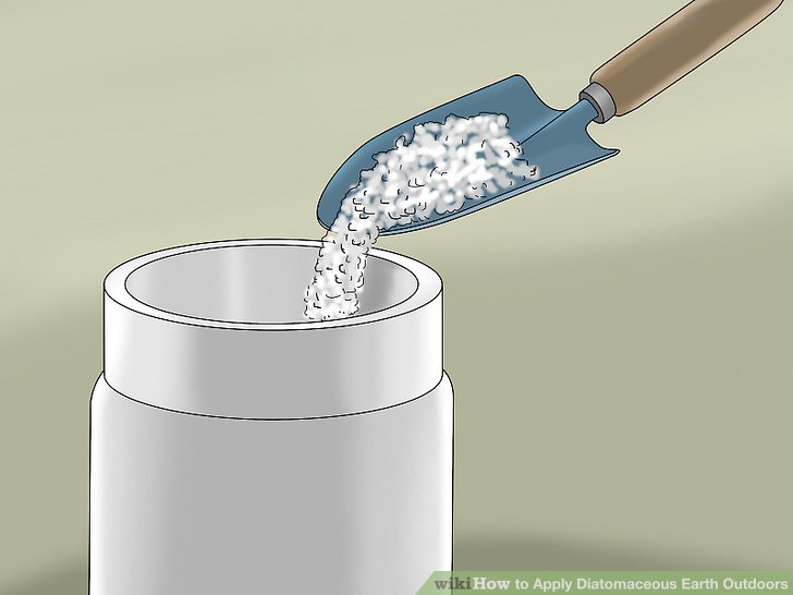 How to apply diatomaceous