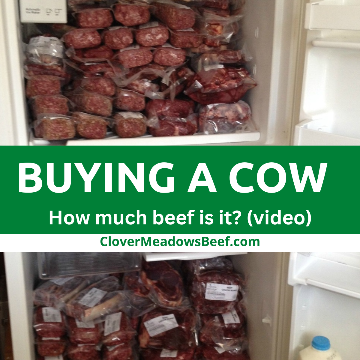 How much is it to buy a cow