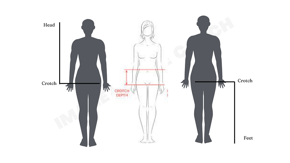 How to measure torso