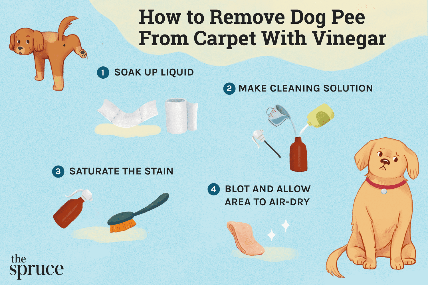 How to get dog diarrhea out of carpet