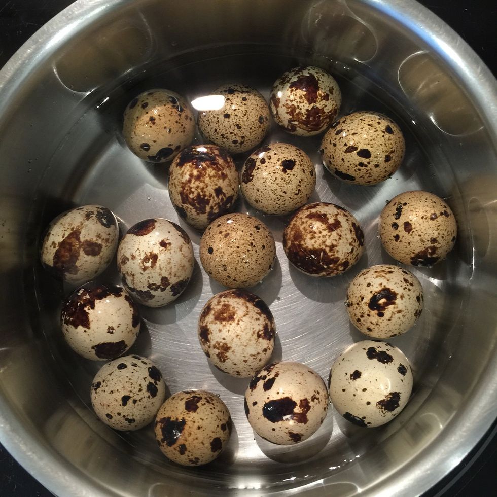 How to boil quail eggs