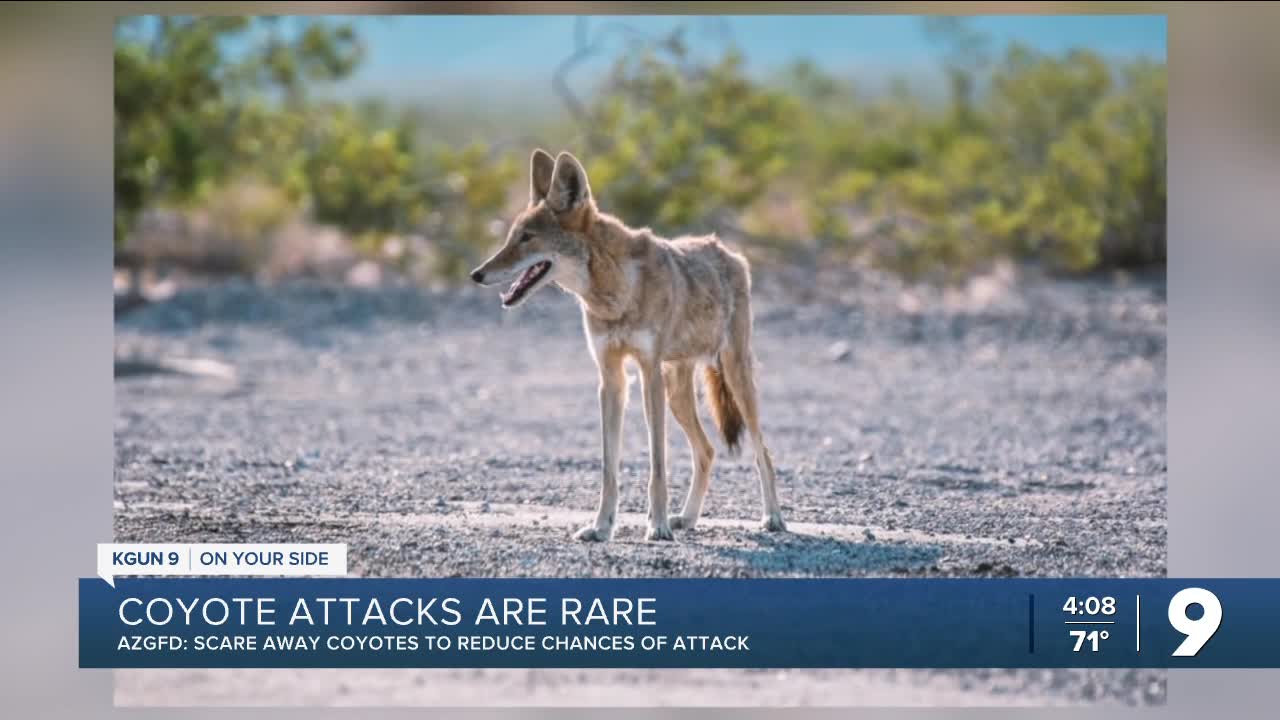 How to scare off coyotes