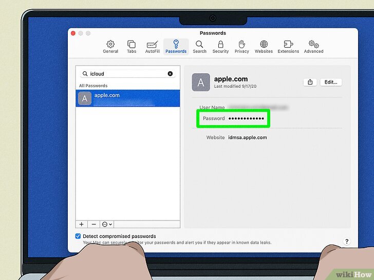 How to find your apple id password